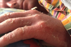 1_jake-month-2-shed-hand